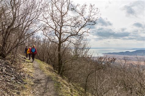 Badacsony 360 • Gyalogtúra » TERMÉSZETJÁRÓ